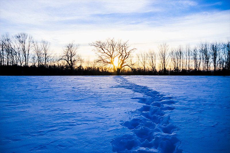 footsteps-in-deep-snow.jpg