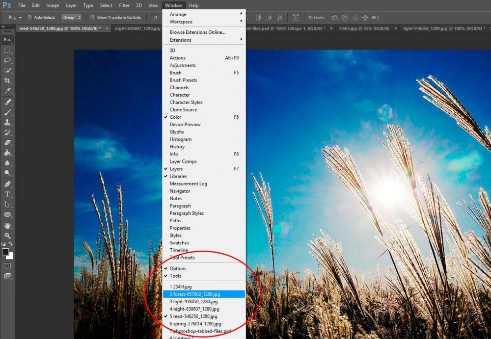 adobe-photoshop-window-menu-expand-window.jpg
