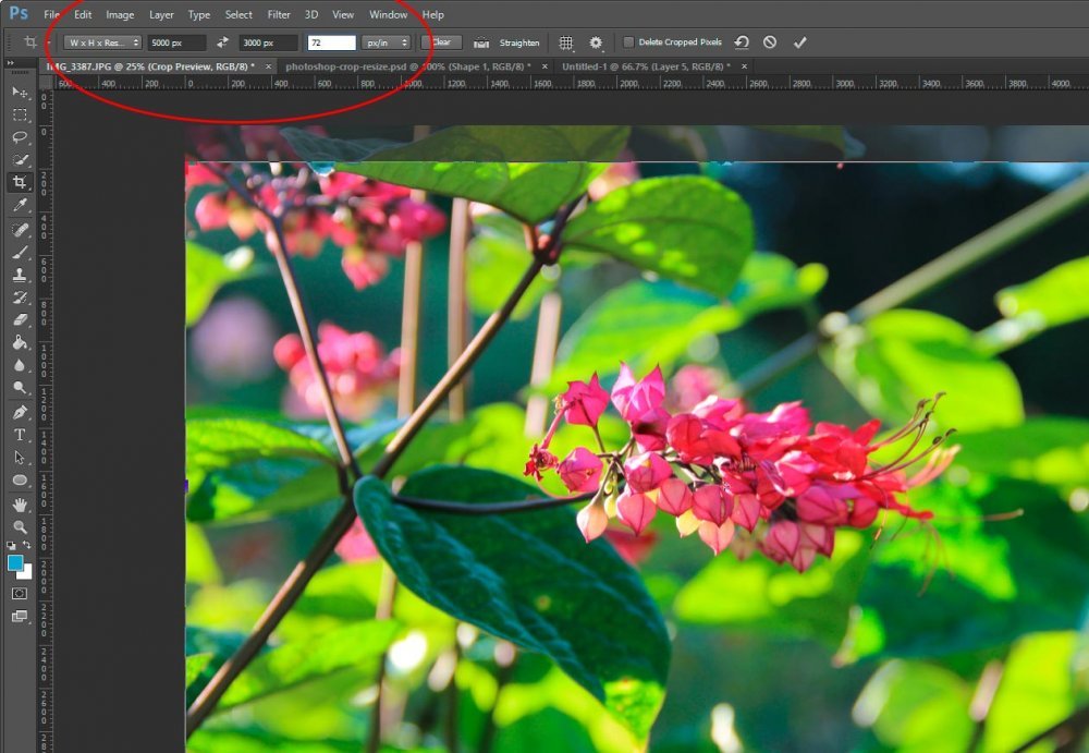 changing-size-resolution-crop-tool-adobe-photoshop.jpg