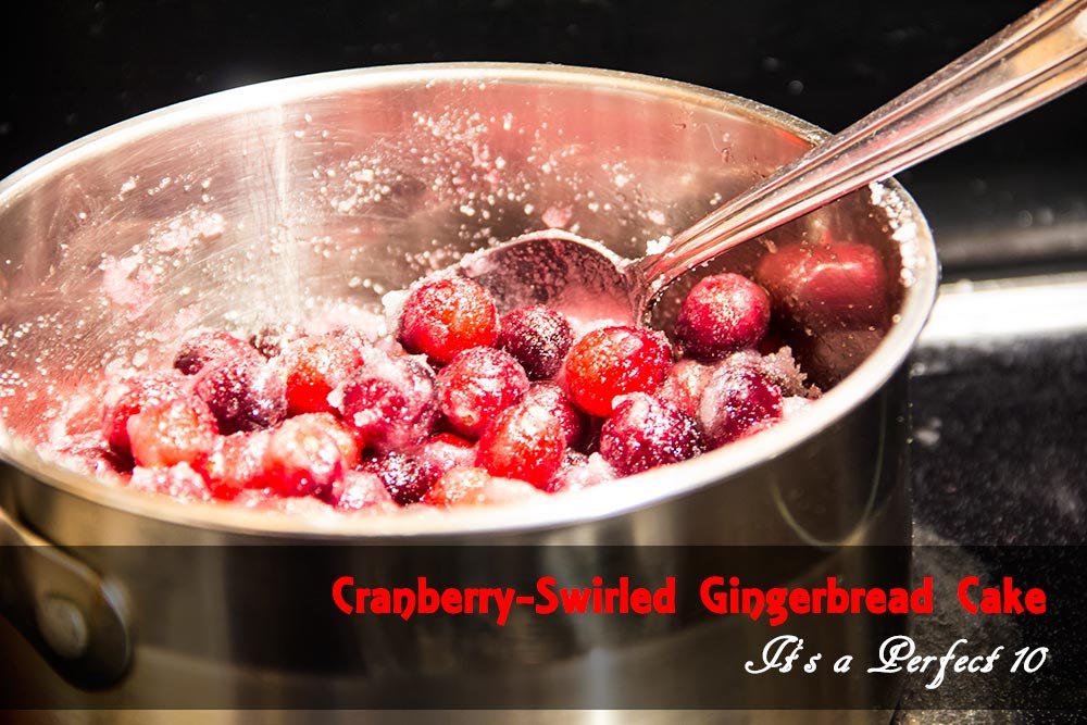 candied-cranberries.jpg