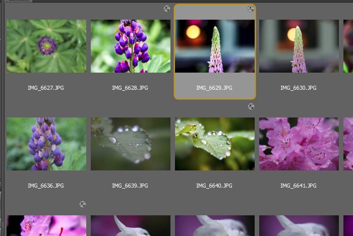 flower-thumbnails.jpg