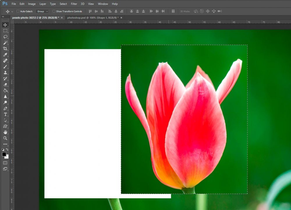 move-selected-area-in-adobe-photoshop.jpg