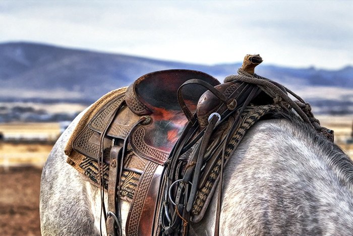 horse-saddle.jpg