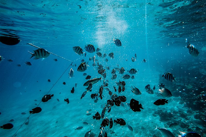 under-blue-water.jpg