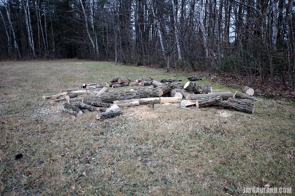 cut-firewood-on-ground.jpg