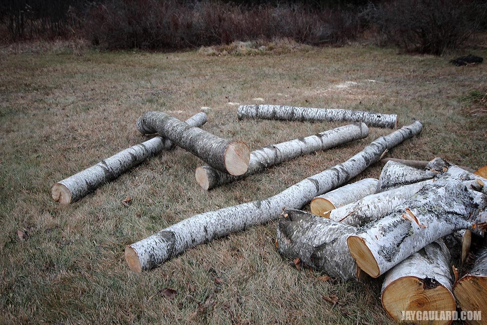white-birch-firewood.jpg