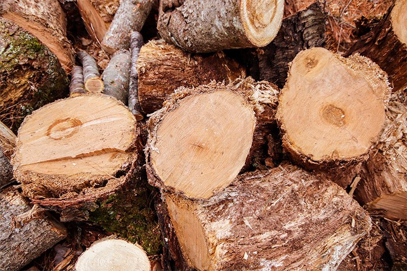 firewood-logs.jpg