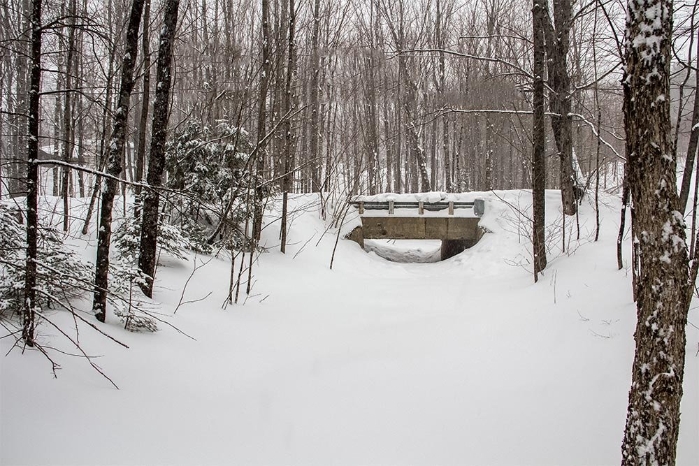 snow-covered-bridge.jpg