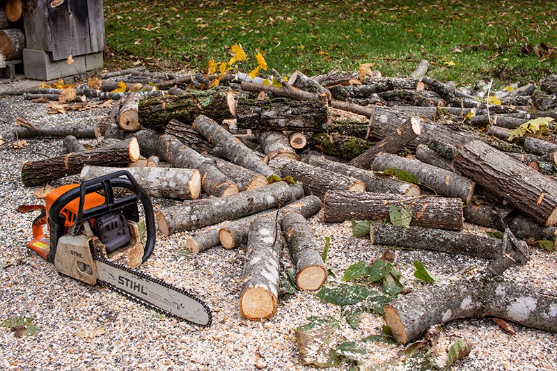 chainsaw-cut-up-tree-branches.jpg