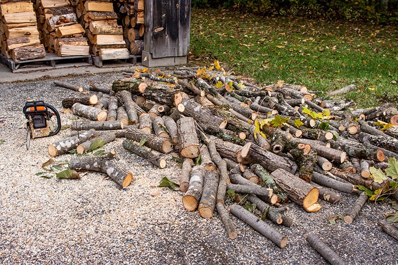 processed-tree-limbs-firewood.jpg