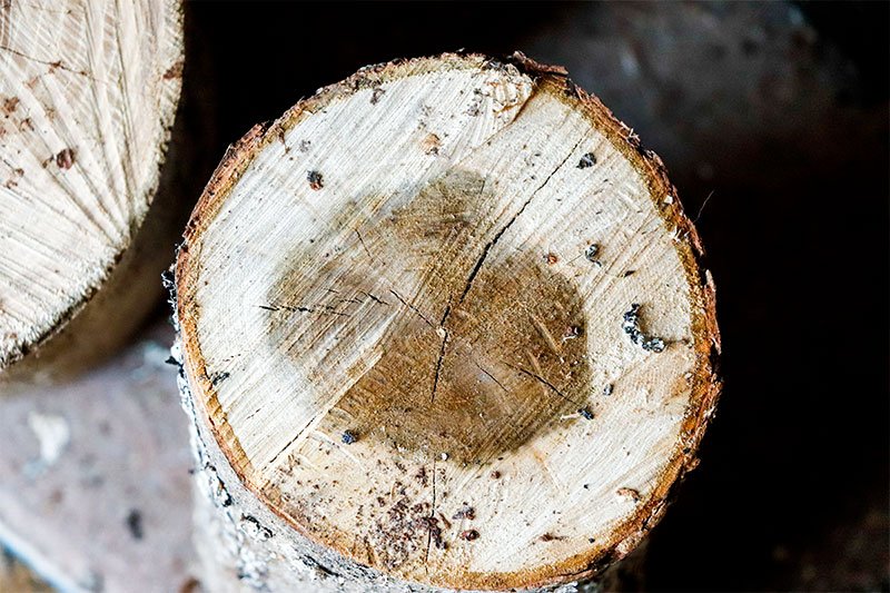 001-green-firewood.jpg