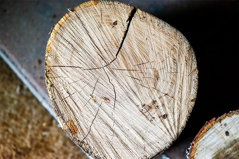 003-dry-firewood.jpg