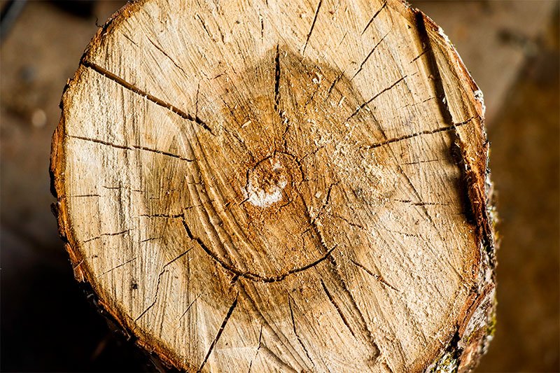 005-seasoned-firewood.jpg