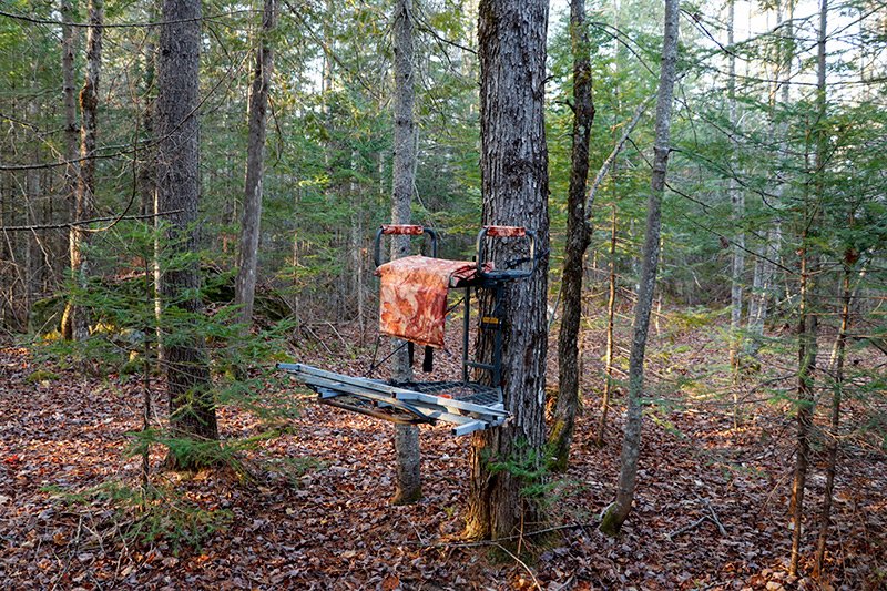 hunting-stand-on-tree.jpg