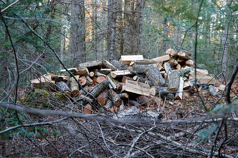 pile-of-split-ash-maple-firewood.jpg