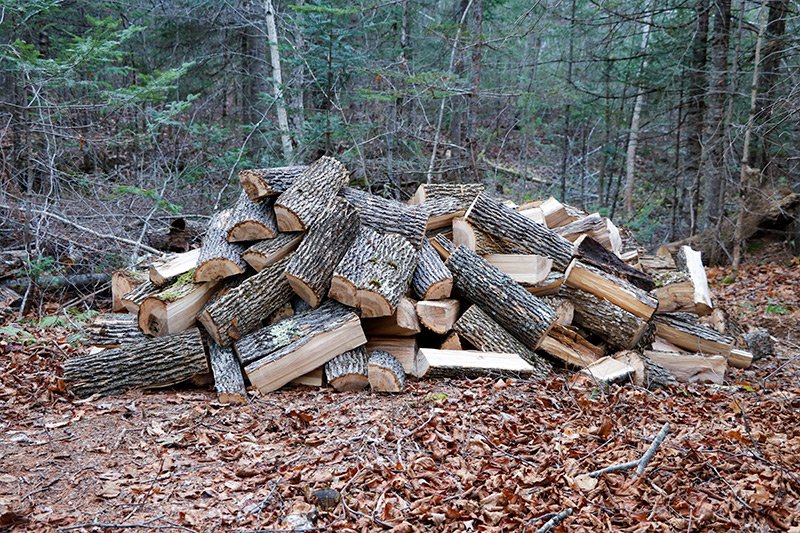 ash-firewood.jpg