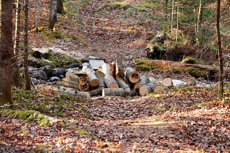 pile-pine-firewood.jpg