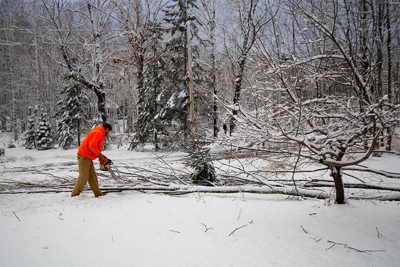 03-cutting-up-downed-tree.jpg
