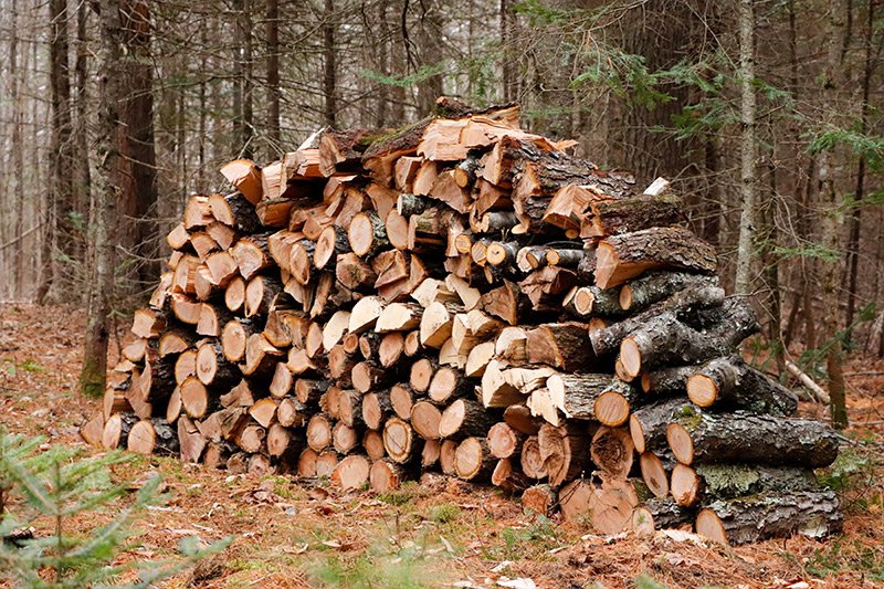 black-cherry-firewood-pile.jpg
