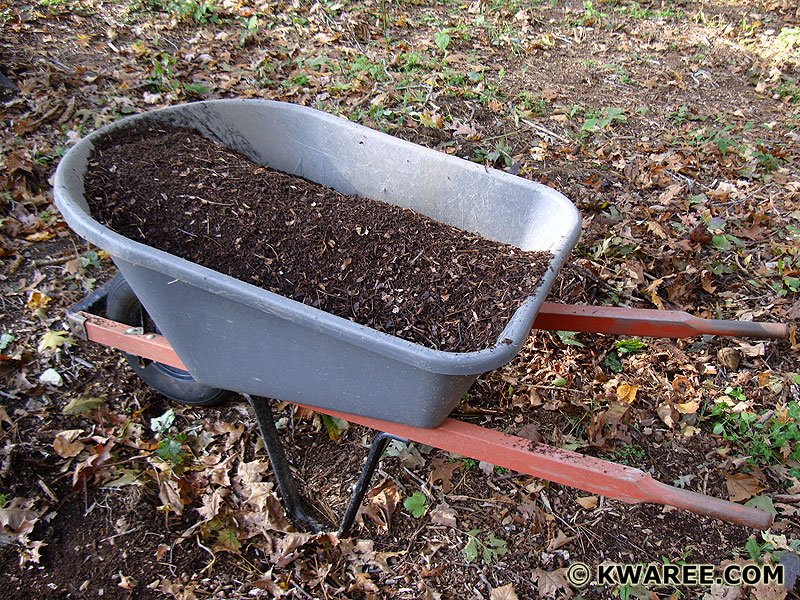 screened-compost.jpg