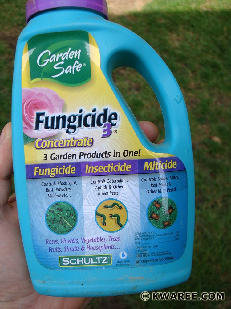 garden-safe-fungicide.jpg
