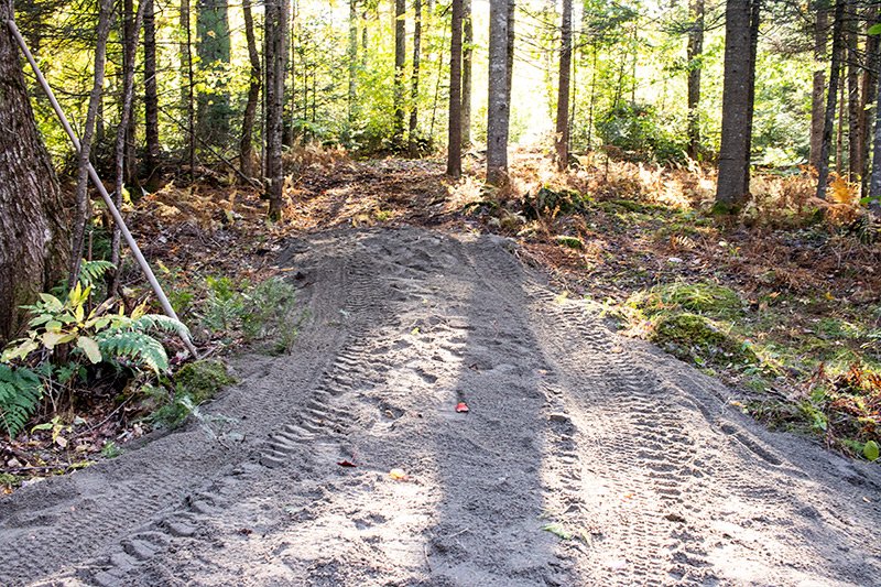 gravel-path-through-woods.jpg