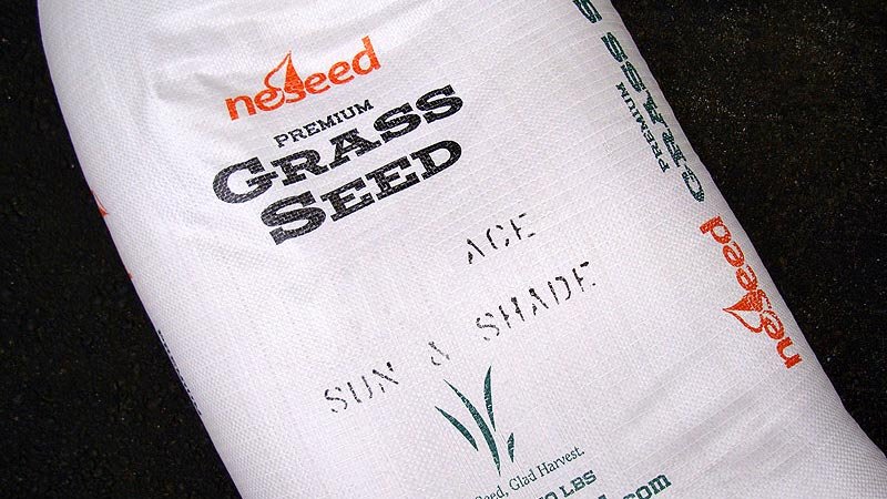 neseed-premium-grass-seed.jpg