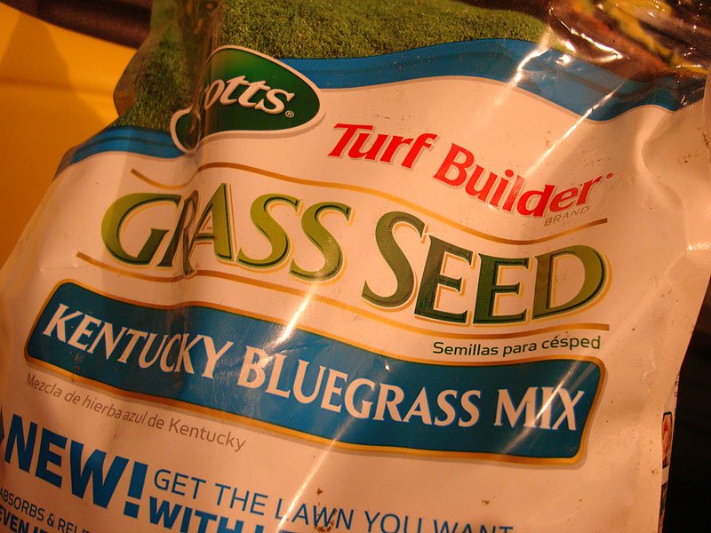 scotts-turfbuilder-grass-seed-bag.jpg