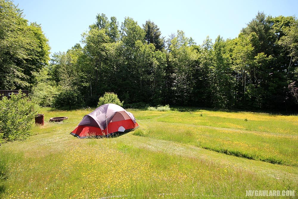 tent-in-high-grass.jpg
