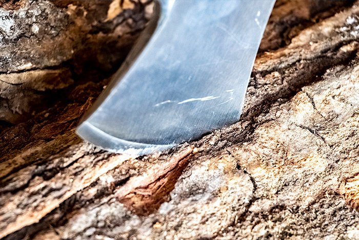 camping-hatchet-blade-in-wood.jpg
