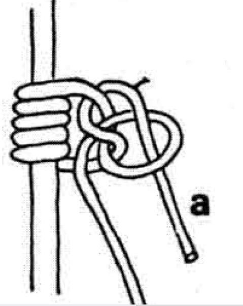 Penberthy knot.JPG