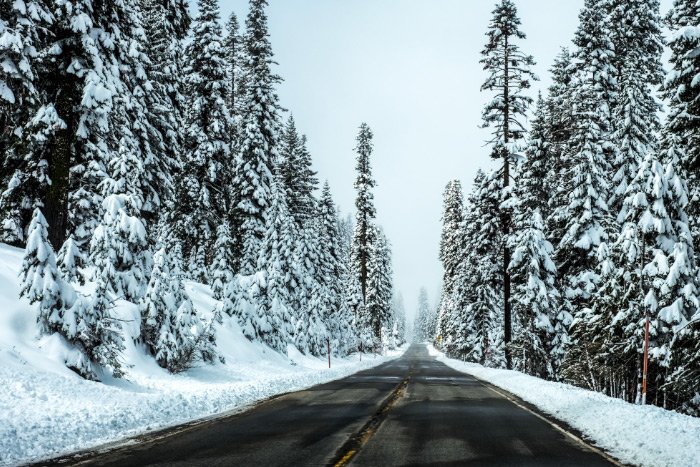 winter-road.jpg