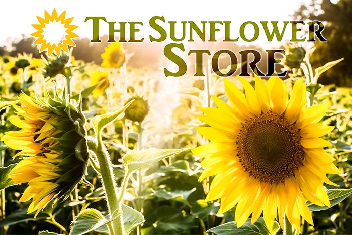the-sunflower-store.jpg